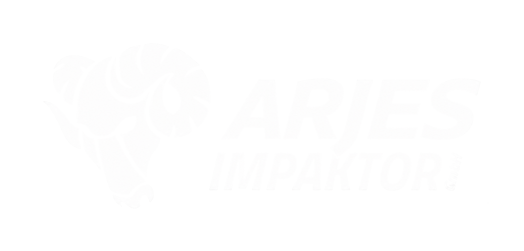 Logo ARJES blanc png OK